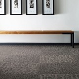 Philadelphia Commercial Carpet Tile
Genius Tile